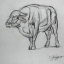 Gaston SUISSE (1896-1988) - Taureau.